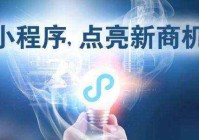 桐柏县小程序开发公司_(石家庄专业开发小程序的公司)